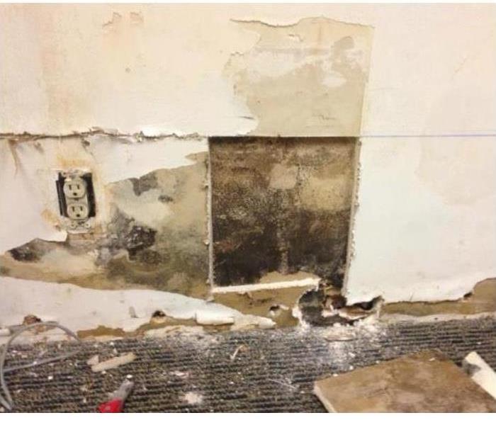mold-infested wallboard, damaged needing removal from mold growth