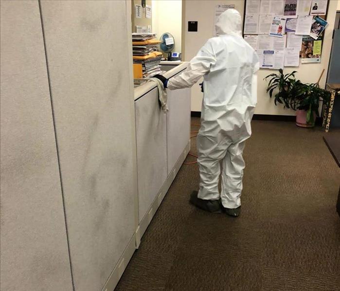techncian in a white tykek suit cleaning